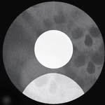 8__28__mohsun profile picture