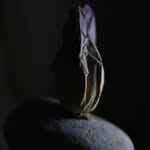 8s8______.___ profile picture