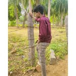 95507_80281 profile picture