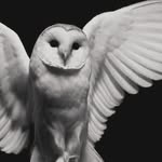 976_this_place_is_death profile picture