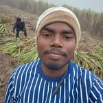98.35415361 profile picture