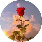 9969kmrahul profile picture