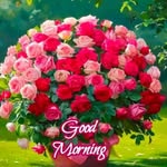 9_920938475mustak_khan profile picture