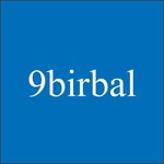 9_birbal profile picture