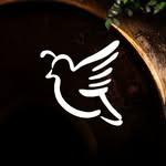 9pmweddings profile picture