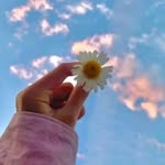 _.krd.__ profile picture