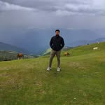 _.yogi.__ profile picture