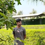 ___jogsa__ profile picture