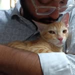 ___just__nyctophile___ profile picture