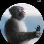 ____rakesh_kumar____0 profile picture