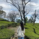 ___sharmilarana profile picture