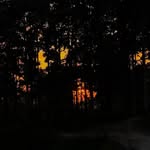 ___shweta299 profile picture