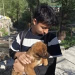 __anadi__10 profile picture