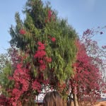 __binitawny profile picture