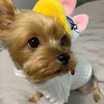 __choco__409 profile picture