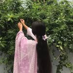 __dibya_47_ profile picture