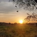 __hariom_patel_01 profile picture