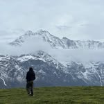 __kandwal_ profile picture