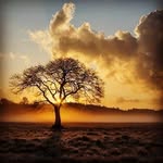 __nature_lover7317 profile picture