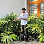 __nihal_bin_anwar profile picture
