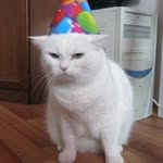 __no.t.fo.und__ profile picture