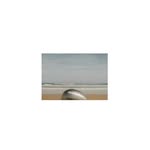 __s____ostudio profile picture