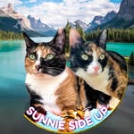 __sunnie.side.up__ profile picture
