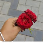__swati__bolli profile picture