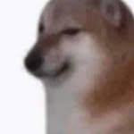 __un._.known__00 profile picture
