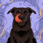 _adventuresofmaddie profile picture