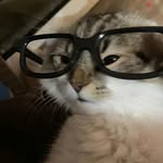 _almost_a_nerd_ profile picture