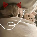 _amazhoo profile picture