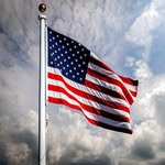 _americanlives_ profile picture