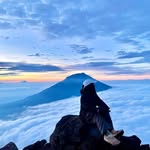 _andrabi.adeeba_ profile picture