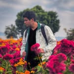 _arturoleal profile picture