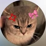 _awwww__some_ profile picture