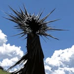 _chiroo_l profile picture