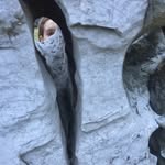 _collina profile picture