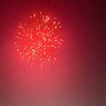 _dhruvisarvaiya profile picture