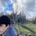 _dinis.d profile picture