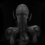 _dipali_ profile picture