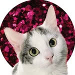 _dollybarton profile picture