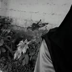_erasyed._ profile picture