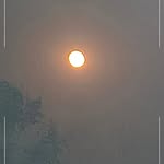 _faizan__saifi__0 profile picture