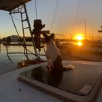 _floata profile picture
