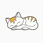 _furrytails_ profile picture