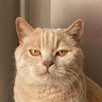 _julianwarner profile picture
