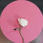 _kimberlygz profile picture