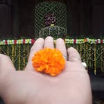 _kushwaha_ji_ki_beti4951 profile picture