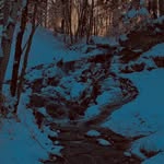 _latvian_nature profile picture